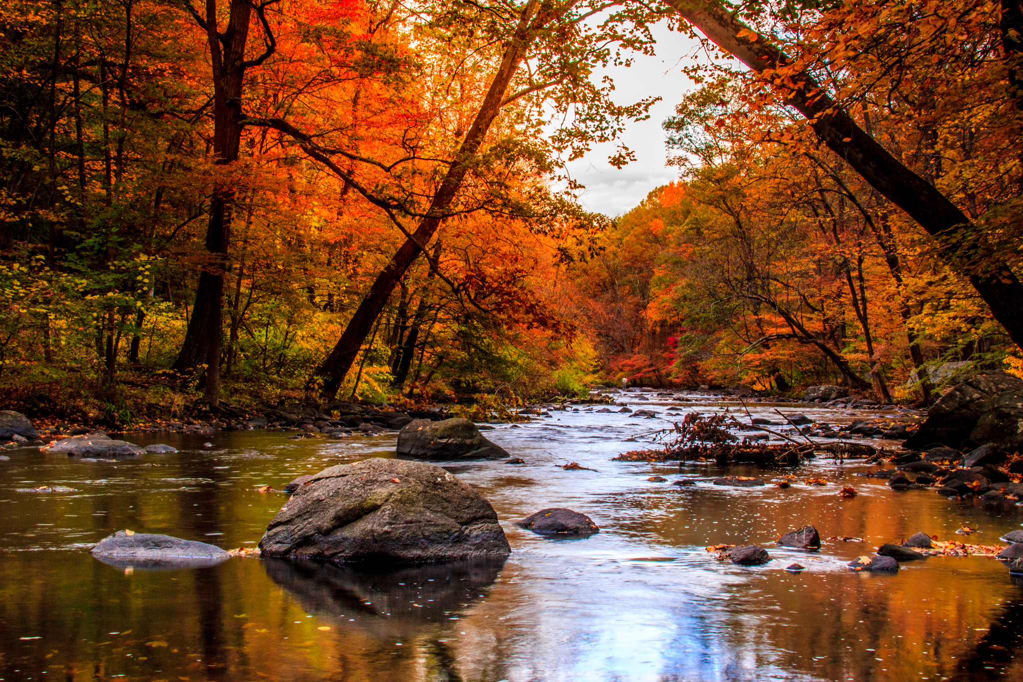 Autumn Creek Shutterbug Autumn Creek Shutterbug